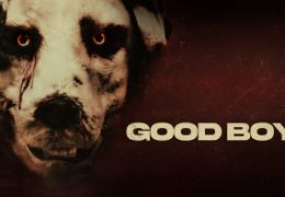 Good Boy (2022) HD 720p Tamil Dubbed Movie Watch Online
