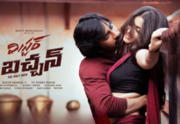 Mr. Bachchan (2024) HD 720p Tamil Movie Watch Online